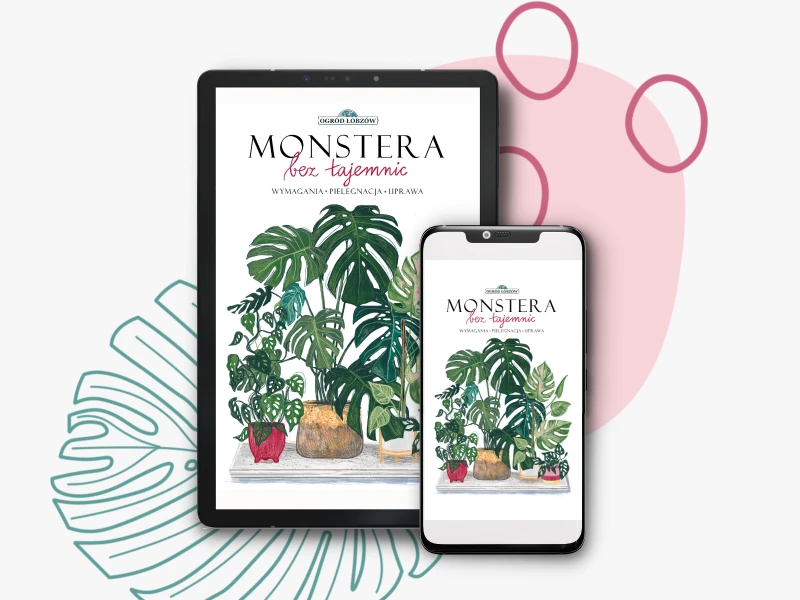 E-BOOK Monstera bez tajemnic - poradnik dla roślinomaniaków | E-booki | Ogród Łobzów |