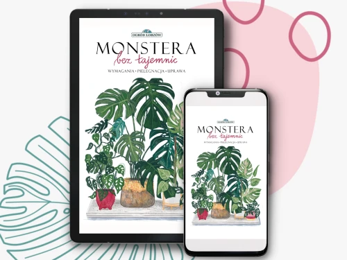 E-BOOK Monstera bez tajemnic - poradnik dla wielbicieli monstery i nie tylko!
