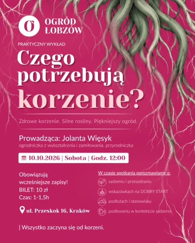 Czego potrzebują korzenie? Wykład - bilet wstępu
