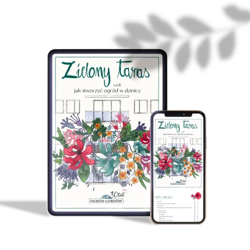 E-BOOK Zielony Taras czyli jak stworzyć ogród w donicy