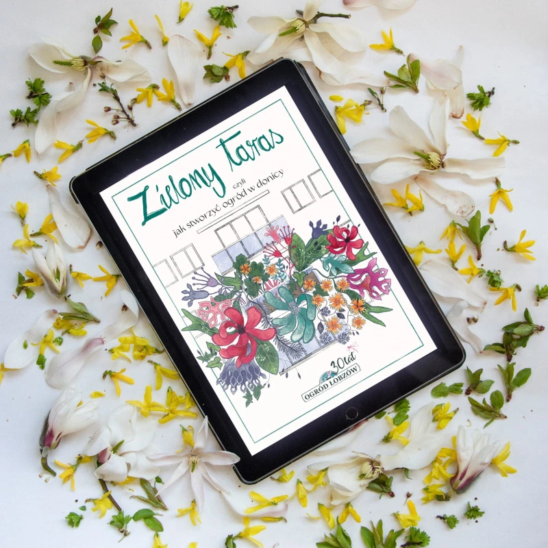 E-BOOK Zielony Taras czyli jak stworzyć ogród w donicy - Poradnik jak zaprojektować zielony taras | Ogród Łobzów |