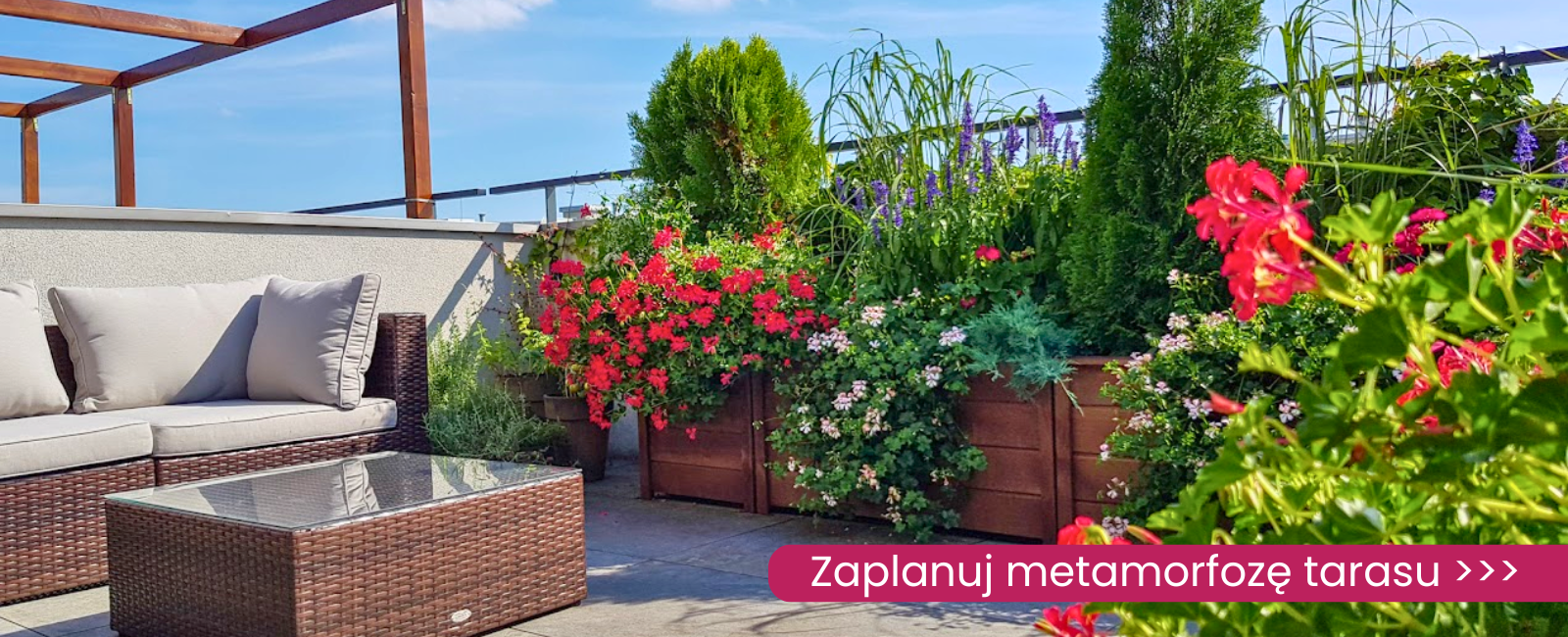 metamorfoza tarasu Sklep internetowy | Ogród Łobzów - rośliny i dekoracje w centrum Krakowa! |